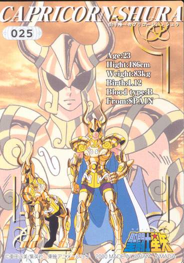 Otaku Gallery  / Anime e Manga / Saint Seiya / Cards / Trading Cards 2000 / 008_g.jpg